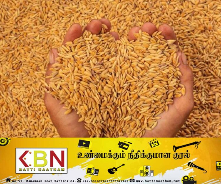 “ஒரு மாதத்திற்கு மட்டுமே நெல் இருப்பு உள்ளது” ; நெல் சந்தைப்படுத்தல் சபை தெரிவிப்பு!