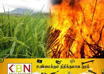 நெற்பயிர்களை தீயிட்டு எரித்தால் நட்டஈடு கிடையாதாம்!
