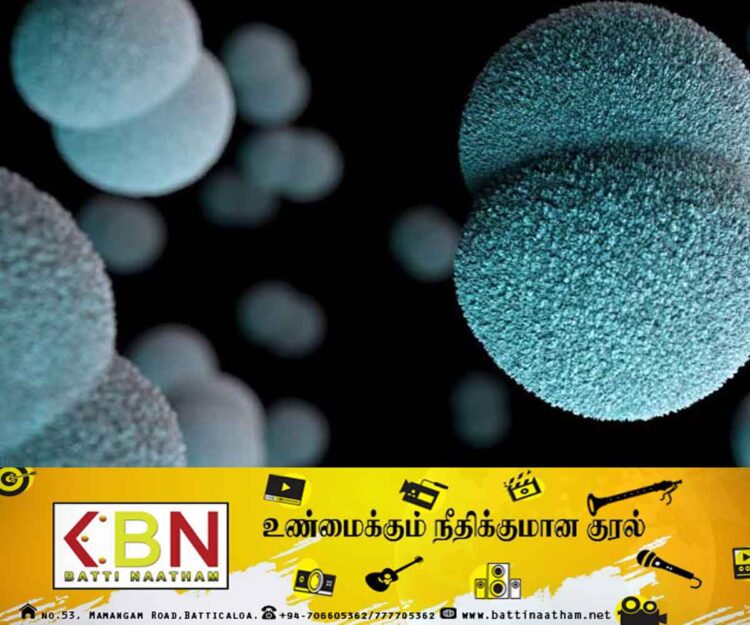 Meningococcal-Meningitis பற்றீரியா குறித்து தொற்றுநோயியல் பிரிவின் அறிவித்தல்!