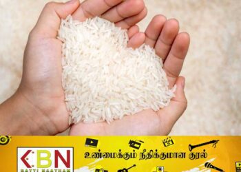 அரிசியின் விலை அதிகரிக்கலாம்; விவசாய அமைச்சர் மஹிந்த அமரவீர!