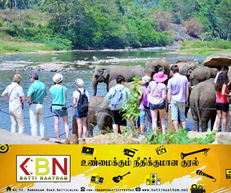 சுற்றுலாப் பயணிகளின் வருகை உயர்வு!