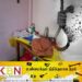 அதிகரிக்கும் மரணங்கள்; யாழ் பல்கலைக்கழக மாணவி தற்கொலை!