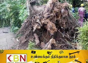 மரம் விழுந்ததால் தெஹிவளை மிருகக்காட்சிசாலை பாதுகாப்பு அதிகாரி உயிரிழப்பு!