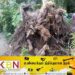 மரம் விழுந்ததால் தெஹிவளை மிருகக்காட்சிசாலை பாதுகாப்பு அதிகாரி உயிரிழப்பு!