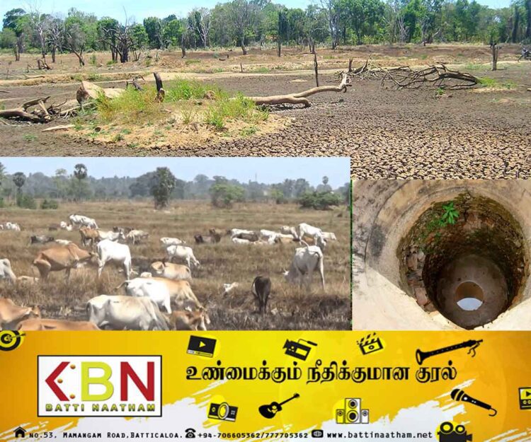 மட்டக்களப்பில் வறட்சி; குடிதண்ணீருக்காக மிக நீண்ட தூரம் பயணிக்கும் நெடியமடு மக்கள்!