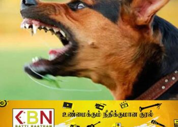 நாட்டில் வெறிநாய்க்கடியால் உயிரிழப்பவர்களின் எண்ணிக்கை அதிகரிப்பு; வைத்திய அதிகாரி வைத்தியர் ஹேஷான் குருகே!