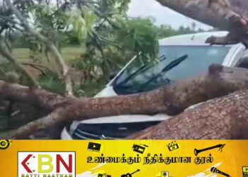 அக்கரைப்பற்று – கல்முனை பிரதான வீதியில் கார் மீது விழுந்த மரம்!
