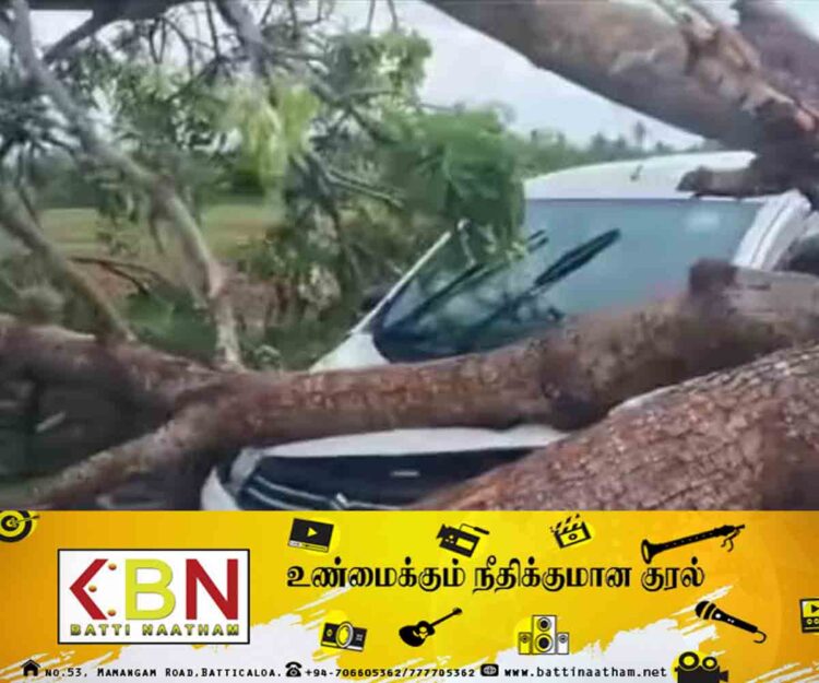 அக்கரைப்பற்று – கல்முனை பிரதான வீதியில் கார் மீது விழுந்த மரம்!
