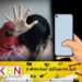 12 வயது மாணவியை வன்புணர்வு செய்த பாடசாலை பிரதி அதிபர் கைது!