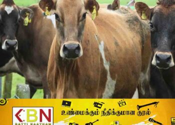 கால்நடை வளர்ப்போருக்கு விடுக்கப்பட்டுள்ள எச்சரிக்கை!