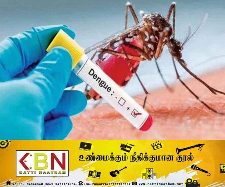 இதுவரை 63,461 டெங்கு நோயாளர்கள் பதிவு!