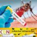 இதுவரை 63,461 டெங்கு நோயாளர்கள் பதிவு!