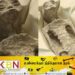 மனிதரல்லாத இரண்டு உயிரினங்களின் உடல்கள்! ; ஏலியன்களா?