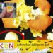 இறப்பர் முட்டையுடன் விற்கப்பட்ட தின்பண்டம்!