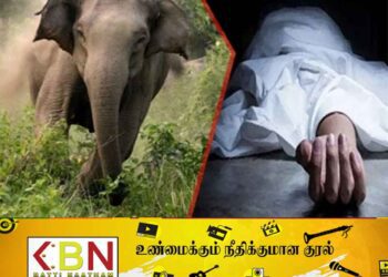 யானை தாக்கியதில் வயோதிபர் மரணம்; திருமலையில் சம்பவம்!