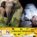 யானை தாக்கியதில் வயோதிபர் மரணம்; திருமலையில் சம்பவம்!