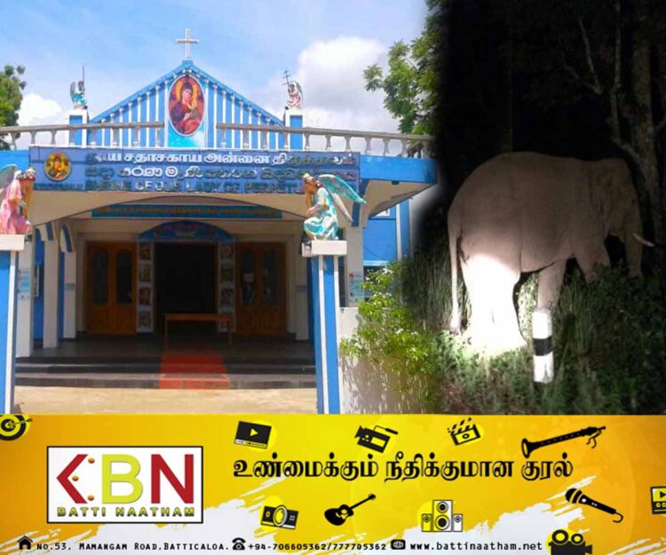 நாளைய புனித சதாசகாய மாதா திருத்தல பாத யாத்திரீகர்களுக்கு விடுக்கப்பட்டுள்ள முக்கிய அறிவித்தல்!