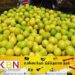 தேசிக்காய் விலை சடுதியாக அதிகரிப்பு!