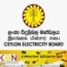 அடுத்த வருடம் மின்சார சபை ஊழியர்களுக்கு போனஸ் இல்லை!