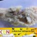 பாணுக்குள் பீடித் துண்டு; பொது சுகாதார பரிசோதகர்கள் நடவடிக்கை!