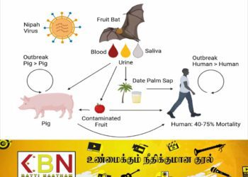 அச்சுறுத்தும் நிபா வைரஸ்; இலங்கைக்குள் நுழைவதைத் தடுக்கும் பணிகள் ஆரம்பம் !
