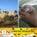 பாசிக்குடா கடற்கரை பகுதியில் விஷப் பூச்சிகள்; முகநூலில் பரவிவரும் பதிவு!