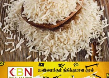 திடீரென உயரும் அரிசி விலை; காரணம் என்ன?