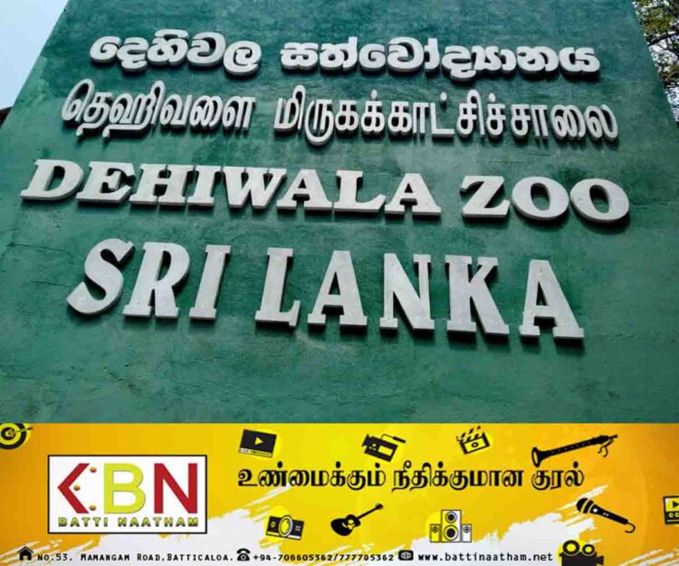 தெஹிவளை மிருகக்காட்சிசாலையை இலவசமாக பார்வையிட ஓர் சந்தர்ப்பம்!