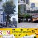 வீதியோரங்களில் விழும் அபாயத்தில் உள்ள பெரிய மரங்கள் தொடர்பில் புதிய தீர்மானம்!