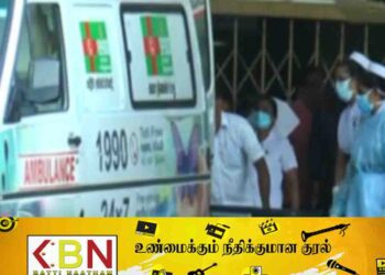 குளவி கொட்டுக்கு இலக்காகி 26 பேர் காயம்!