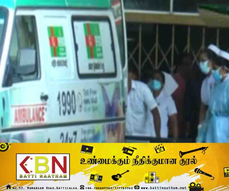 குளவி கொட்டுக்கு இலக்காகி 26 பேர் காயம்!