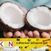 சந்தையில் திடீரென அதிகரித்த தேங்காயின் விலை!