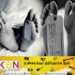 அக்கரைப்பற்றில் சோகம்; பெறாமகளின் திடீர் மரணச் செய்தியை கேட்ட வளர்ப்பு தாயும் உயிரிழப்பு!
