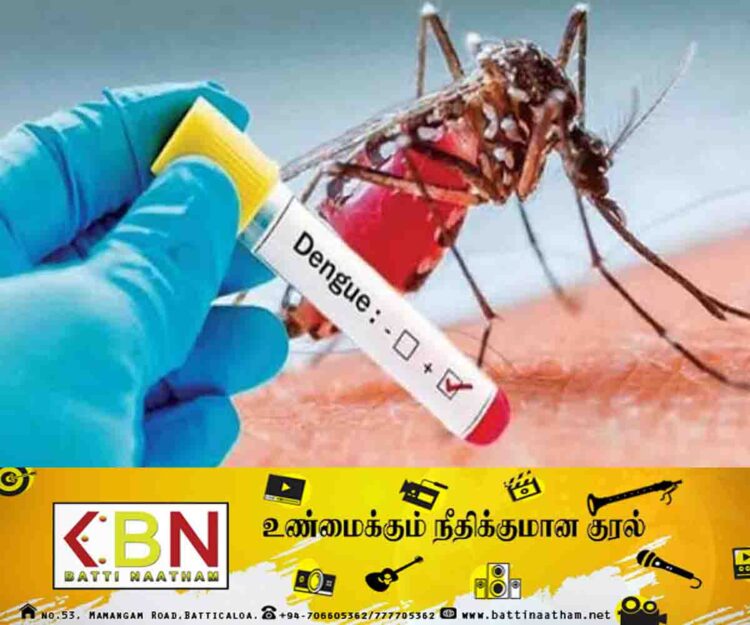 கடந்த இரண்டு நாட்களில் டெங்கு நோயாளர்களின் எண்ணிக்கை அதிகரிப்பு!