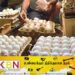 முட்டை இறக்குமதி டிசம்பர் வரை மட்டுமே; அமைச்சர் மஹிந்த அமரவீர!