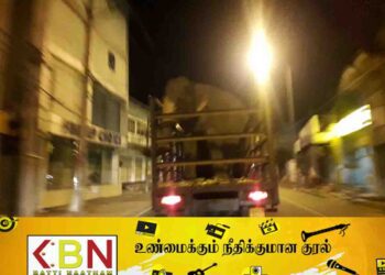 காட்டு யானை தாக்கி 3 பிள்ளைகளின் தாய் ஒருவர் பலி!