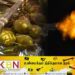 தேங்காய் திருடியவர் மீது காவலாளி துப்பாக்கிச் சூடு!