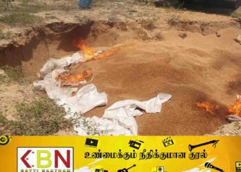 கல்முனையில் மனித பாவனைக்கு உதவாத ஒரு தொகை கொத்தமல்லிகள் அழிப்பு!