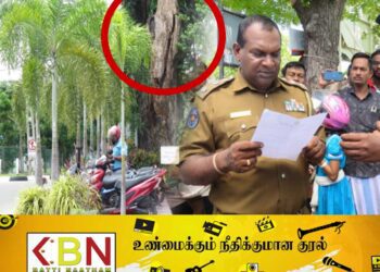 மட்டு கோட்டை பிரதான வீதியில் முறிந்து விழும் அபாயத்தில் உள்ள மரம்; அபிவிருத்தி குழு கூட்டத்தில் இறுதி தீர்மானம்!