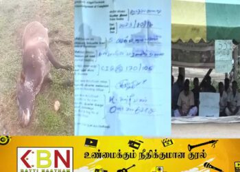 மயிலத்தமடுவில் கால்நடைகள் மீது துப்பாக்கி சூடு!