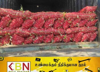மனித பாவனைக்குதவாத வெங்காயத்தை கொண்டு சென்றவர் கைது; நீதிமன்றம் வழங்கிய தீர்ப்பு!