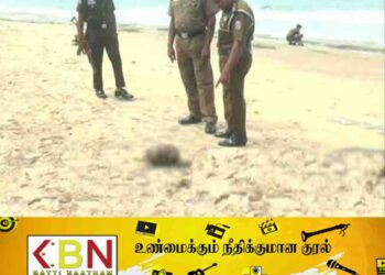 கடற்கரை பகுதியில் துண்டிக்கப்பட்ட தலை மீட்பு!
