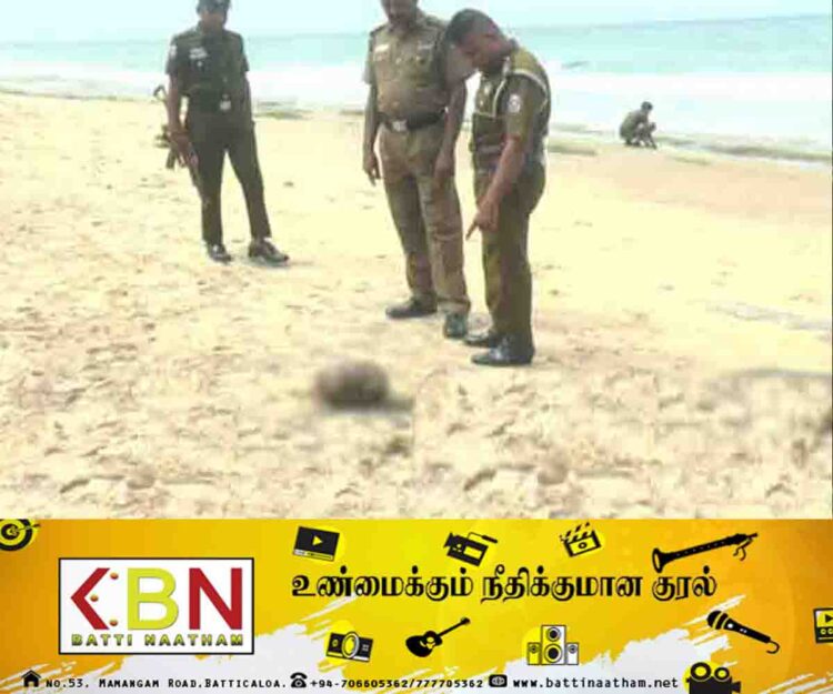 கடற்கரை பகுதியில் துண்டிக்கப்பட்ட தலை மீட்பு!