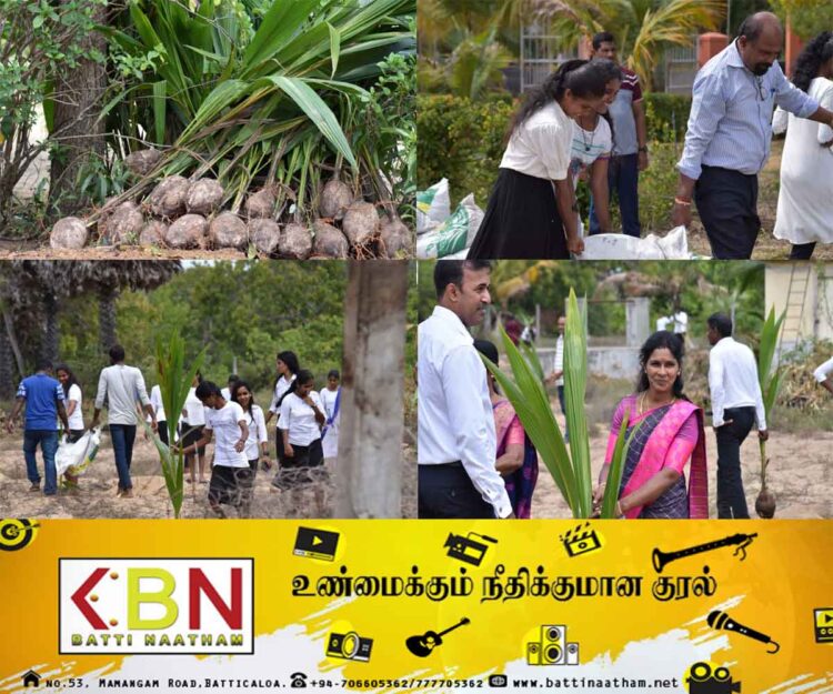 மட்டு புதுக்குடியிருப்பு தொழில் பயிற்சி நிலையத்தில் தென்னங் கன்றுகள் நடும் நிகழ்வு!