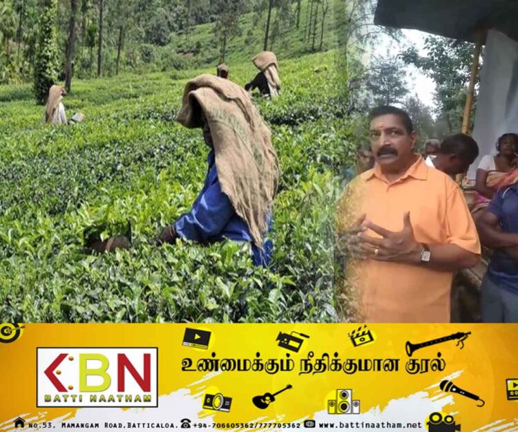 உண்ணாவிரத போராட்டத்தில் ஈடுபட்டு வரும் தோட்டத் தொழிலாளர்கள்!