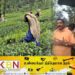 உண்ணாவிரத போராட்டத்தில் ஈடுபட்டு வரும் தோட்டத் தொழிலாளர்கள்!