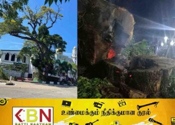மட்டு பெரிய பள்ளிவாசலுக்கு முன்னால் முறிந்து விழும் அபாயத்திலிருந்த மரம் வெட்டப்பட்டது!