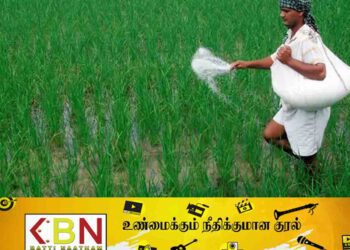21,000 மெற்றிக் தொன் யூரியா உரம் இன்று முதல் விநியோகம்!
