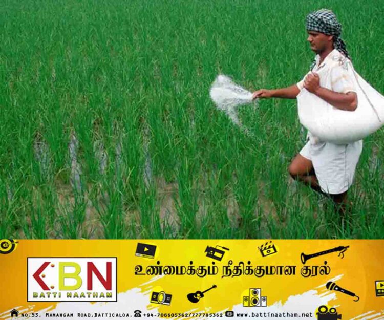 21,000 மெற்றிக் தொன் யூரியா உரம் இன்று முதல் விநியோகம்!