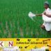 21,000 மெற்றிக் தொன் யூரியா உரம் இன்று முதல் விநியோகம்!